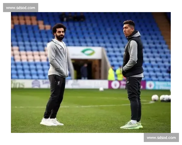 穆雷对决拉奥尼奇焦点之战发球底线全面较量前瞻网坛巅峰硬地赛场